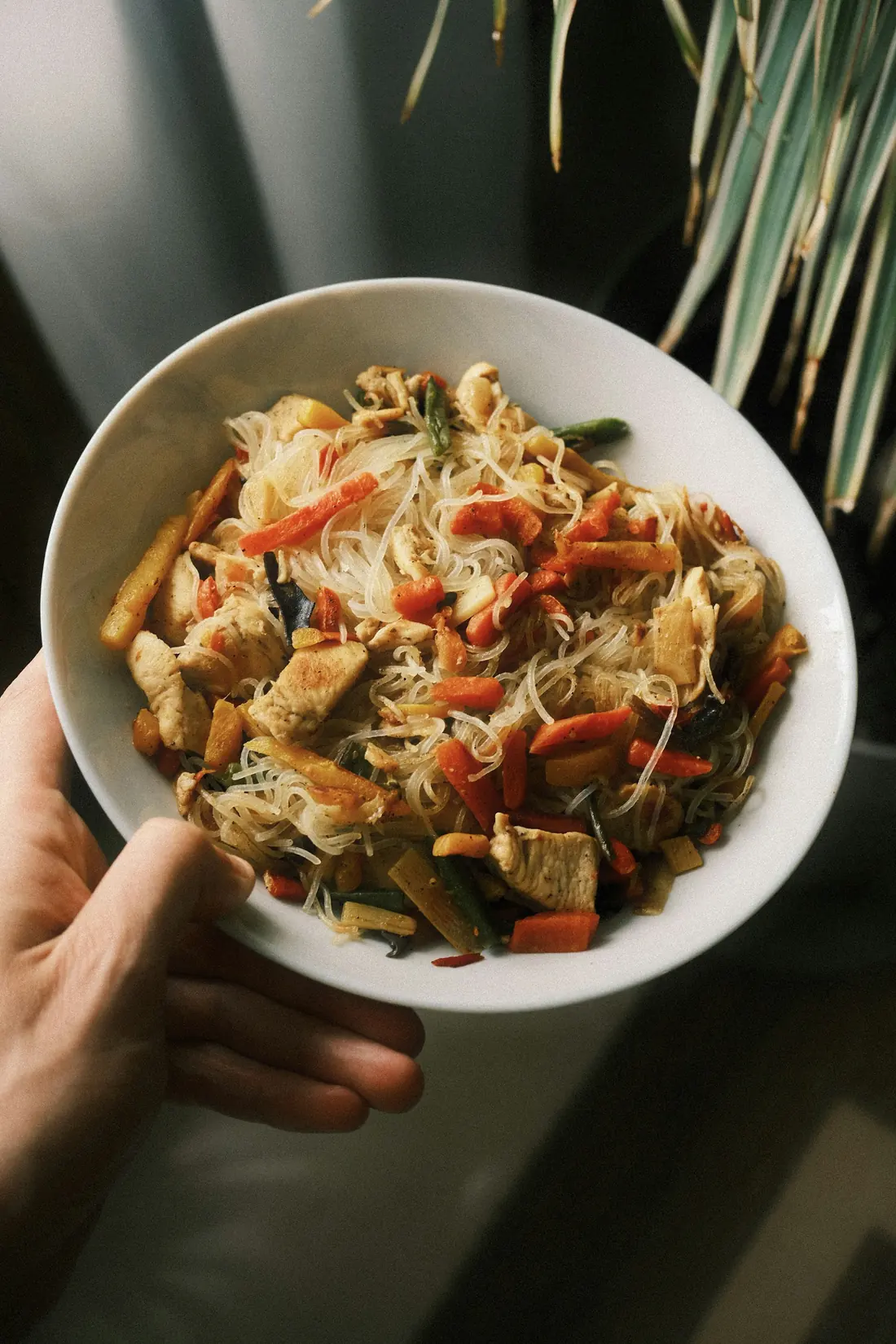 Ginger chicken stir-fry noodles